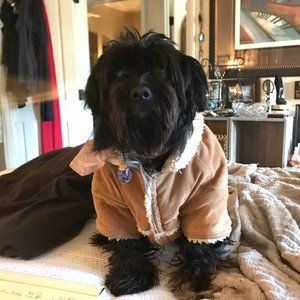 Meet your Posher's Assistant , "Snookie" Whitefoot Magilicutty Whitley